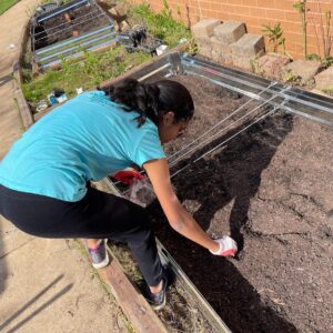 Adding Carbon Sink Pellets