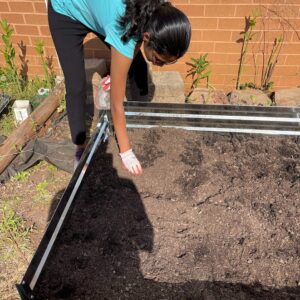 Veda Adding Carbon Sink Pellets